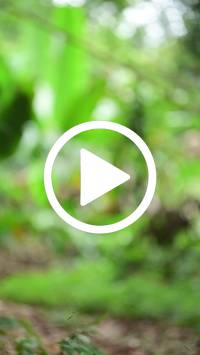 BIB:  <button type="button" onclick="openModal(26822469)" class="btn btn-primary btn-sm float-right" data-toggle="modal" data-target=".modal-high-quality">
                <i class="fa fa-download"></i> Download
                </button>